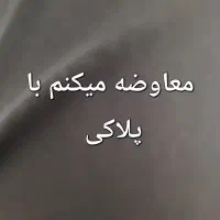 کبوتر کفتر رنگی