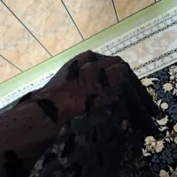 چادر محلی نو به فروش می رسد