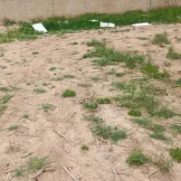 زیر قیمت فوری