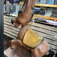 الاغ متحرک سکه ای