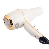 سشوار فوق حرفه ای مک استایلر مدل MC-6689|آرایشی، بهداشتی، درمانی|اندیشه, اندیشه فاز ۱|دیوار