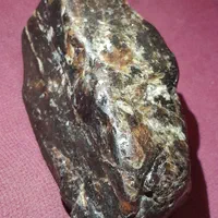 کهربای فسیلی چندمیلیون ساله