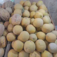 نیروی میوه فروشی