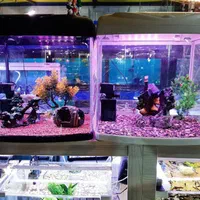 آکواریوم آبتین با ۲۵ سال سابقه در شهرک گلستان|ماهی|شیراز, شهرک گلستان|دیوار