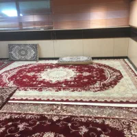 خانم مجرد امور منزل