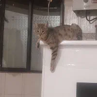 آگاهی گم شدگی