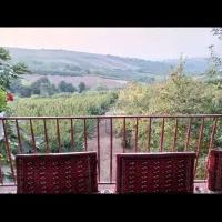 اجاره ویلا|اجارهٔ کوتاه‌مدت ویلا و باغ|ساری, |دیوار