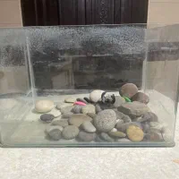 آکواریوم کوچک