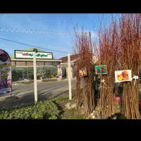 فضاسازی سمپاشی هرس فروش نهال چالکود