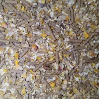 گاوگوسفندبره دان آجیلی بز|لوازم جانبی حیوانات|حمیل, |دیوار