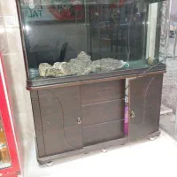 آکواریوم سالم به شرط