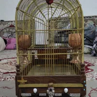 سهره قناری قفس تمام برنج سایز 4 معاوضه