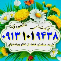0913.101.9438