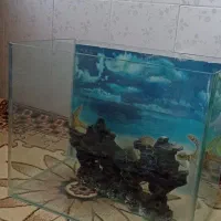 آکواریوم شیشه خم بالوازم