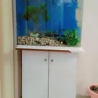 اکواریوم شیشه ای