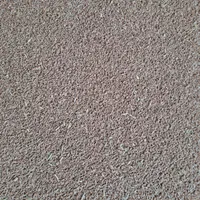 بذر گندم ال‌جی  تناژ بالا وارداتی فرانسوی