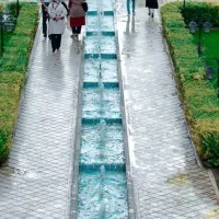 فروش باغ های بزرگ|فروش دفتر صنعتی، کشاورزی، تجاری|برخوار, |دیوار