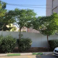 پیش-فروش