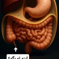 معلم