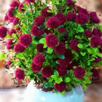 گل مصنوعی|گل مصنوعی|سنندج, |دیوار