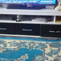 زیر تلویزیونی