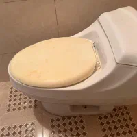 توالت فرنگی