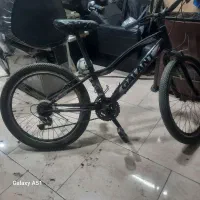 دوچرخه سالم دندی   ۲۴