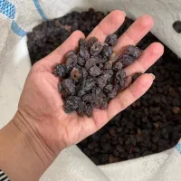 مویز و شیره انگور