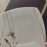 سرویس غذا خوری