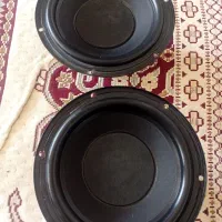 دو عدد ساب سامسونگ ۴۶۰۰ وات
