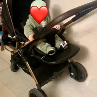 کالسکه cavalo بهمراه هدیه تشک آنتی رفلاکس دی روحه