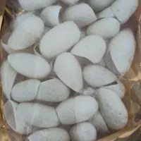 پیله کرم ابریشم