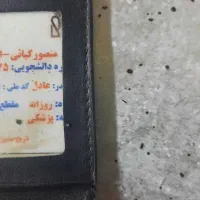 مدارک درخیابان صیاد پیداه شده