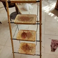 نردبان