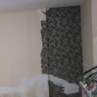 همخونه خانوم همخانه