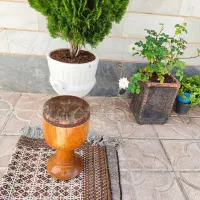 تنبک شیرانی دو مهر به قطر23|سازهای سنتی|میانه, |دیوار