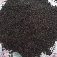 ذغال اخته بدون هسته درجه 1|عمدهفروشی|ورزقان, |دیوار