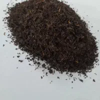 چای نپتون باروتی