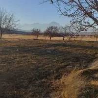 فروش زمین کشاورزی و باغی در روستای سیمین