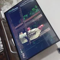 تلویزیون 43اینچ سونیا|تلویزیون و پروژکتور|کلاچای, |دیوار