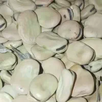 باقله درجه یک