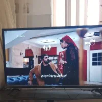 تلویزیون