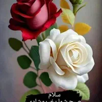 اجاره واحد تجاری طبقه اول 40 متری ابوحامد