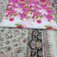 گلیم فرش وتشک|گلیم، جاجیم، گبه|اندیمشک, |دیوار