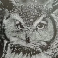 سفارش چهره سیاه قلم|تابلو، نقاشی، عکس|آبادان, |دیوار