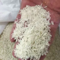برنج فجر سوزنی