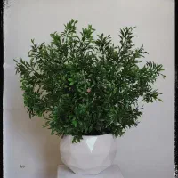 درخچه مصنوعی
