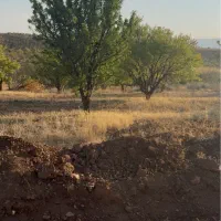 فروش زمین ۱۰۰۰ متری کودیان