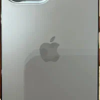 13pro max