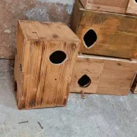 تعدادی لانه . لونه پرنده طوطی|لوازم جانبی حیوانات|آبادان, |دیوار